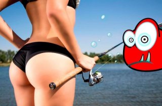 ������ ��������