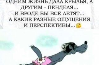 ��� ��������